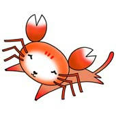 Crab and cat's collaborations character - Crab Cat