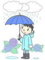 Rainy season, Entering the rainy season, In the rainy season, Hydrangea